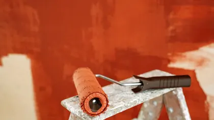 Alçıpan Rehberi ile ilgili temsili görsel