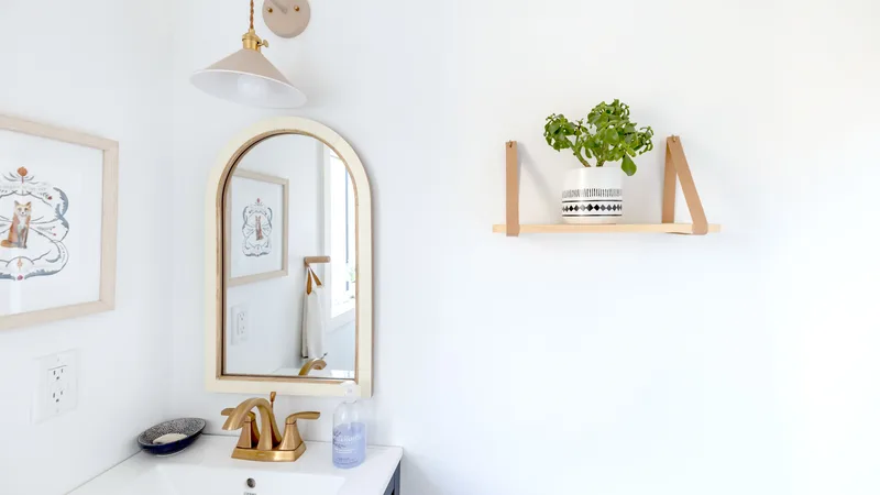 Ayna kenarında rafta duran yeşil bir banyo bitkisi