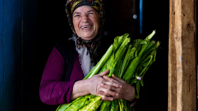 Elinde taze tütün yaprakları tutan, gülümseyen bir kişi