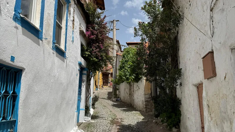 Mavi kepenkli evlerin sıralandığı dar, taş döşeli bir sokak