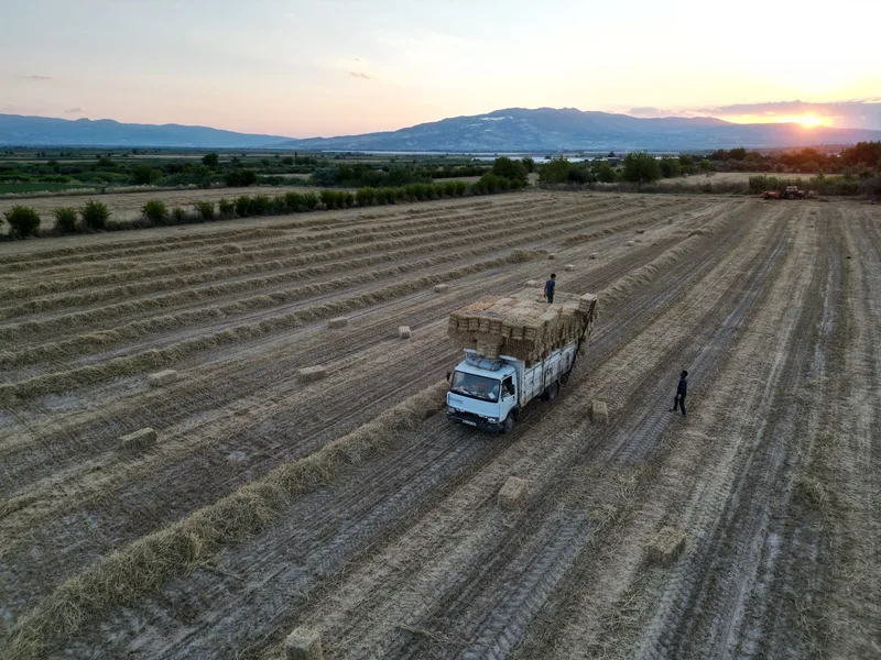 Kuşbakışı, düz ova tarım arazisinde saman balyası taşıyan bir kamyon