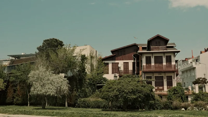 Ağaçlar arasında eski bir ahşap ev, yanında modern bir bina
