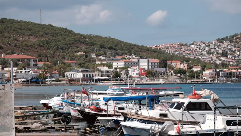 Küçük bir koyda demirlemiş balıkçı tekneleri ve arkada yamaca kurulmuş bir yerleşim