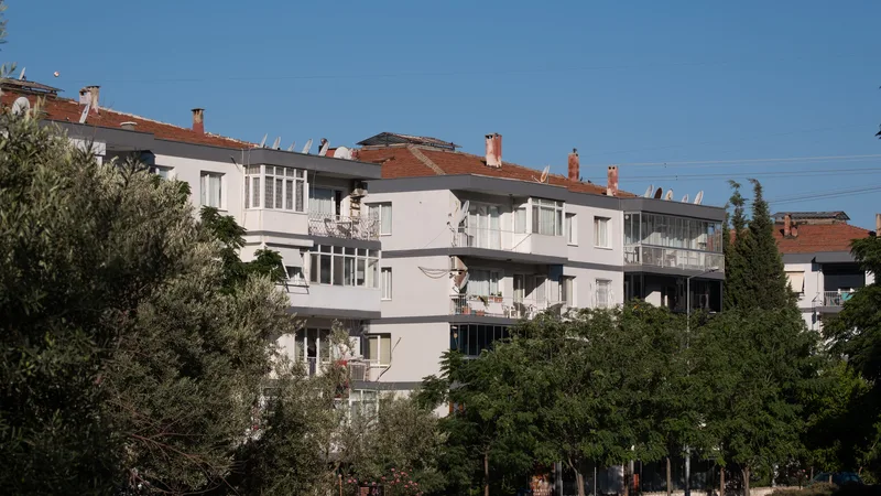 Ağaçlar arasında, balkonlu ve uydu antenli beyaz bir apartman sırası
