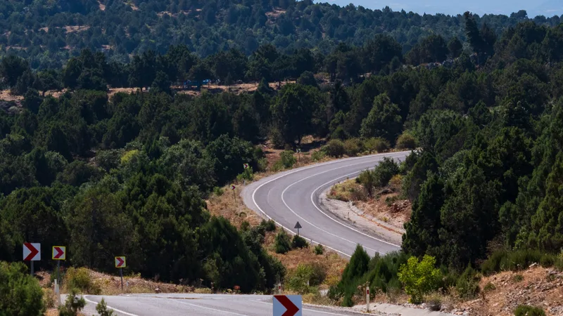 Ormanlık dağlık bir arazide kıvrılan bir asfalt yol