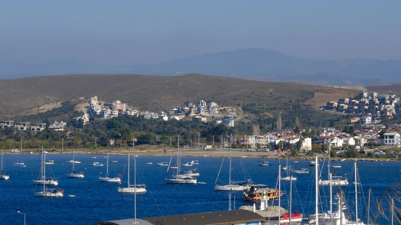 Koyda demirlemiş teknelerin bulunduğu sakin bir marina görünümü