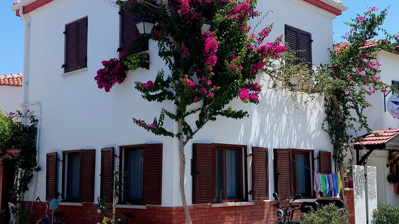 Bahçesinde begonvil çiçekleri olan, kırmızı çatılı beyaz bir ev
