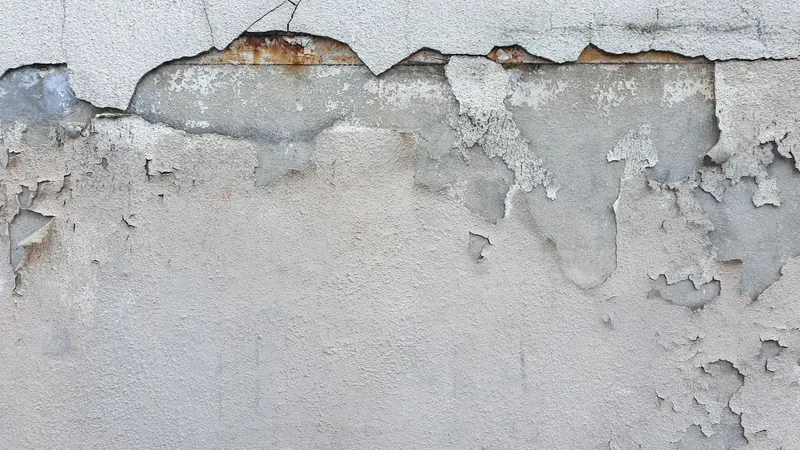 Nem nedeniyle dökülmüş, su hasarı görmüş bir duvar sıvası